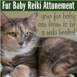 Reiki Healing for Animals