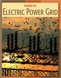 Electricity Grid