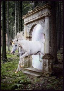 Unicornportal