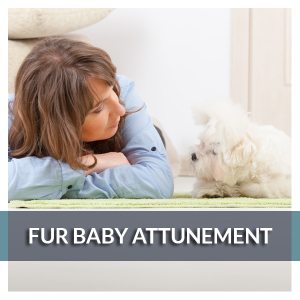 Fur Baby Attunement