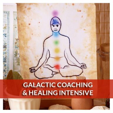 Galactic Coaching and Healing Intensive - Reiki Fur Babies