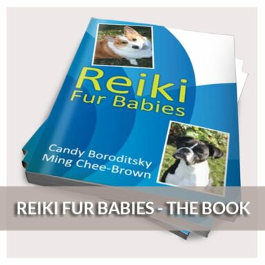 Reiki Fur Babies - The Book